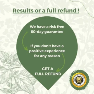 🎄 LOVILDS™ Full-Body Pain Relief Patch – Natural Herbal Formula for Back, Neck, Shoulders & Joints, Fast-Acting Comfort ⚡🎁 – Christmas 60% Off Special