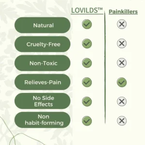 🎄 LOVILDS™ Full-Body Pain Relief Patch – Natural Herbal Formula for Back, Neck, Shoulders & Joints, Fast-Acting Comfort ⚡🎁 – Christmas 60% Off Special